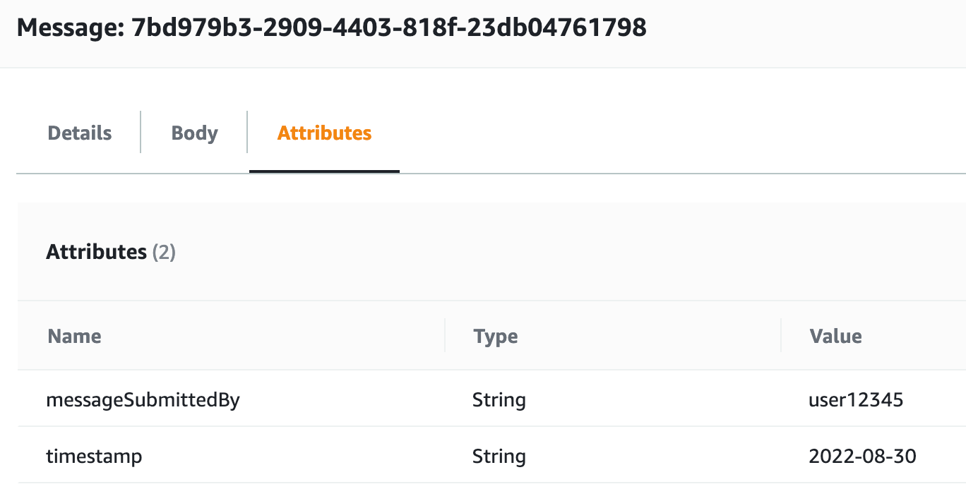 AWS SQS Message Attributes